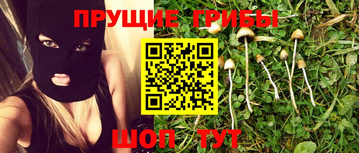 Псилоцибиновые грибы Psilocybine cubensis Реутов